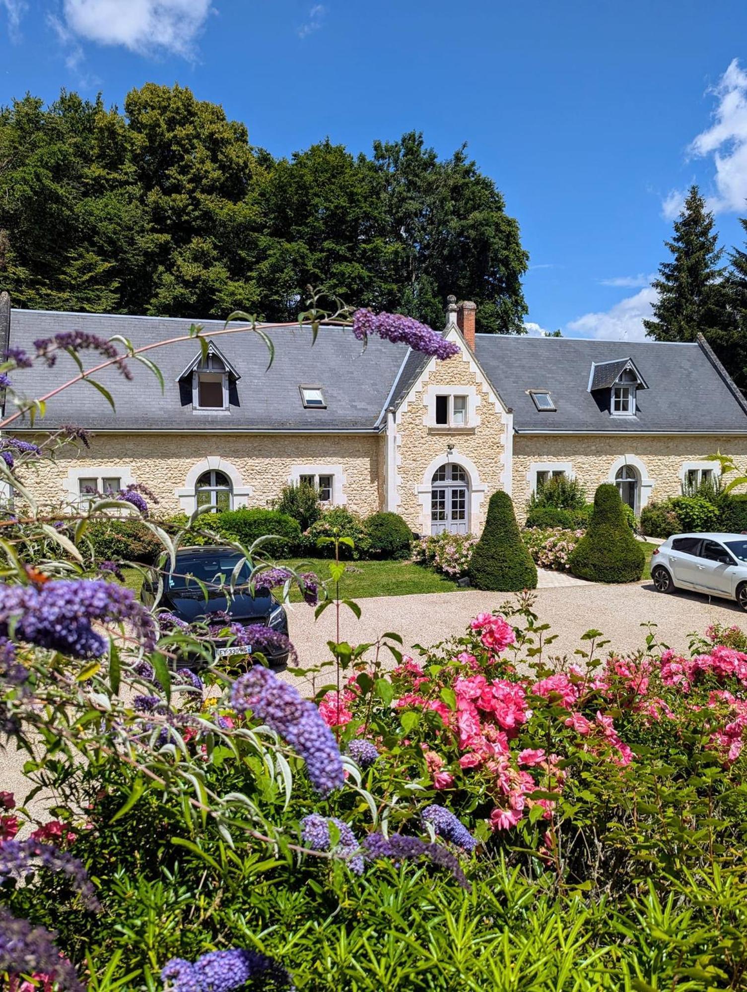 Château-Hôtel de la Ménaudiere Chissay-en-Touraine Exterior foto