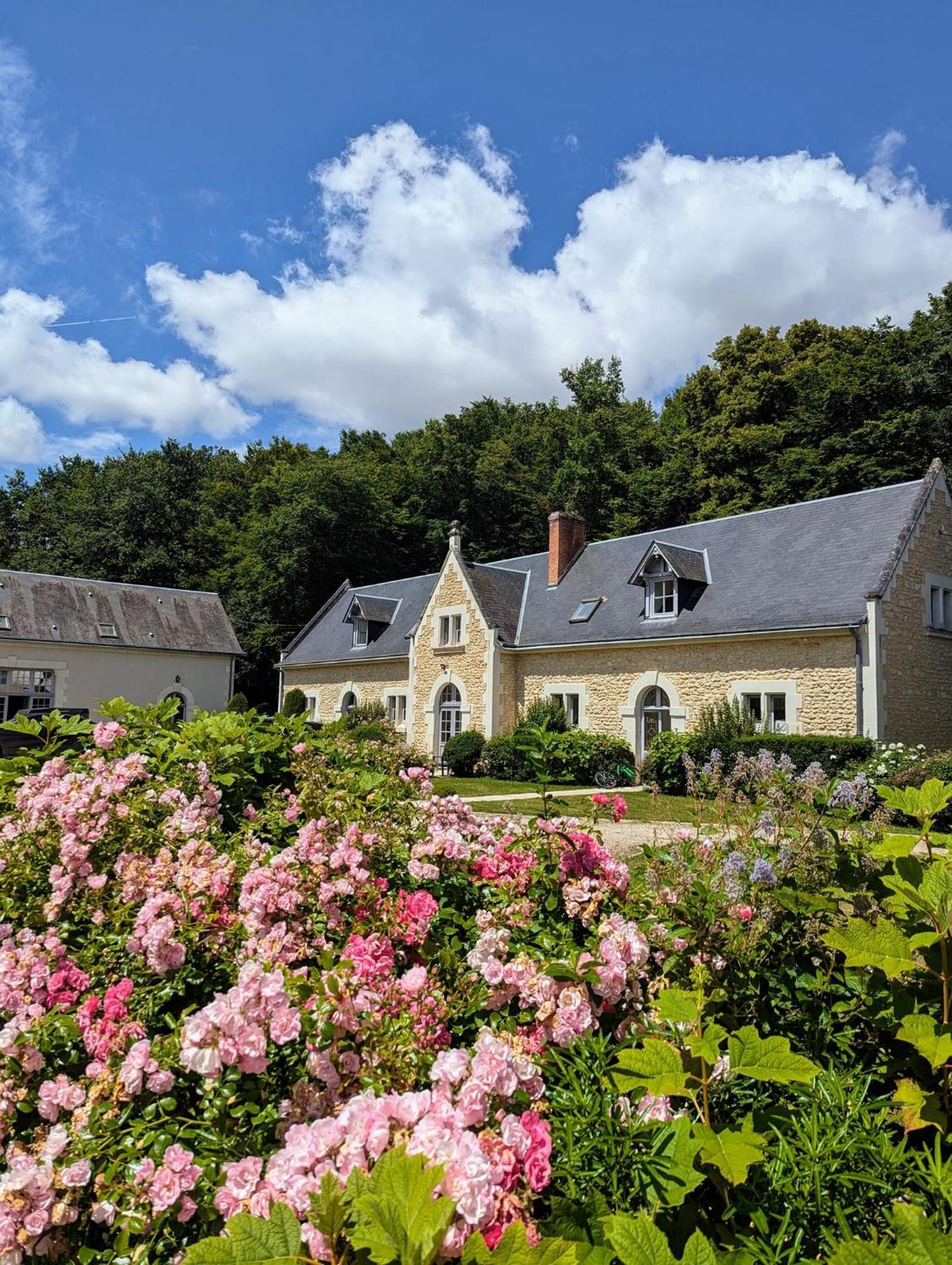 Château-Hôtel de la Ménaudiere Chissay-en-Touraine Exterior foto